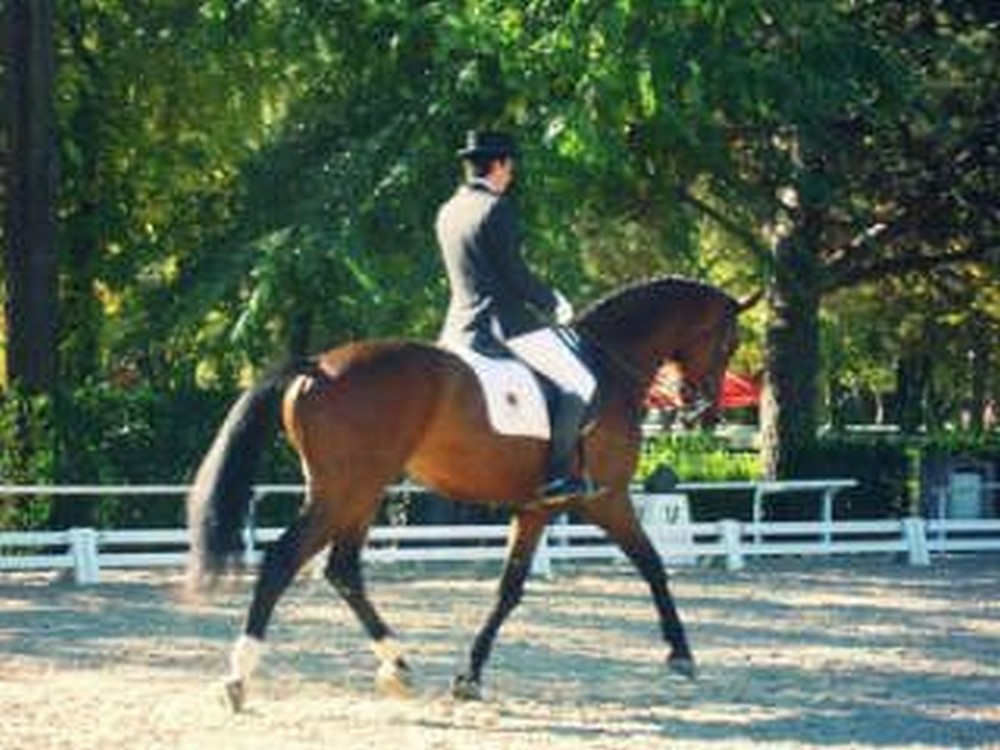 #yoentrenoencasa con Juan Carlos Rodr&iacute;guez